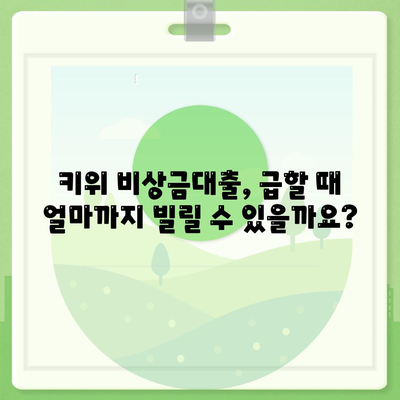 키위 비상금대출, 급할 때 어디서 얼마나 빌릴 수 있을까요? | 비상금 대출, 소액 대출, 신용대출, 한도, 금리