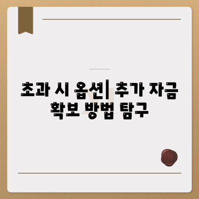 초과 시 옵션| 추가 자금 확보 방법 탐구