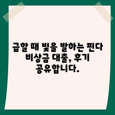 타 곳에서 거절당했지만 핀다 비상금 대출은 됐어요! | 핀다 비상금 대출 후기, 대출 성공 후기, 비상금 마련