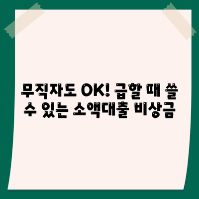 무직자 소액대출 비상금, 한도 & 쉬운 신청 방법 | 즉시 승인 가능, 최저금리 비교