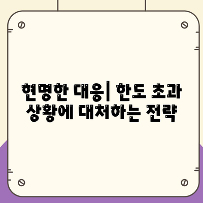 현명한 대응| 한도 초과 상황에 대처하는 전략