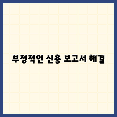 부정적인 신용 보고서 해결