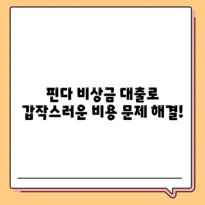 타 곳에서 거절당했지만 핀다 비상금 대출은 됐어요! | 핀다 비상금 대출 후기, 대출 성공 후기, 비상금 마련