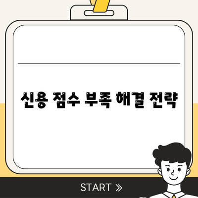 신용 점수 부족 해결 전략