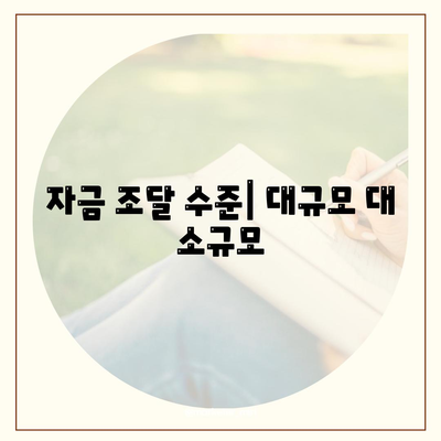 자금 조달 수준| 대규모 대 소규모