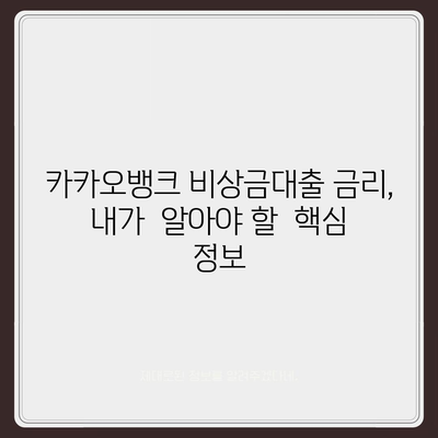 카카오뱅크 비상금대출 후기| 급할 때 유용한  내돈내산 사용 후기 | 비상금, 대출, 금리, 후기, 장단점, 추천