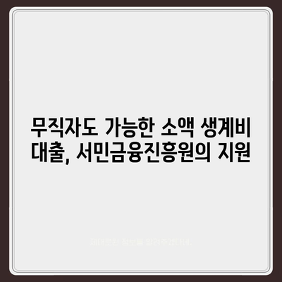 무직자 소액 생계비 대출, 서민금융진흥원에서 어떻게 받을 수 있을까요? | 서민금융, 대출 조건, 신청 방법