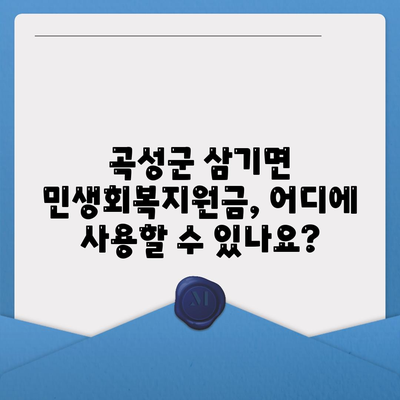 전라남도 곡성군 삼기면 민생회복지원금 | 신청 | 신청방법 | 대상 | 지급일 | 사용처 | 전국민 | 이재명 | 2024