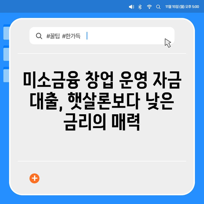 미소금융 창업 운영 자금대출, 햇살론과 비교분석|  핵심 차이점 및 주요 고려 사항  | 창업, 소상공인, 자금조달, 대출