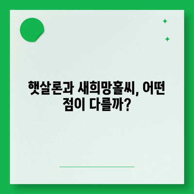 새희망홀씨와 햇살론, 동시에 받을 수 있을까요? | 서민금융, 중복 대출 가능 여부, 대출 조건 비교