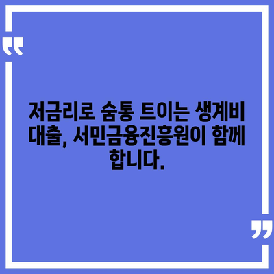 서민금융진흥원 소액 대출로 생계비 걱정 해결하세요! | 생계비 대출, 서민금융, 금융 지원, 저금리 대출