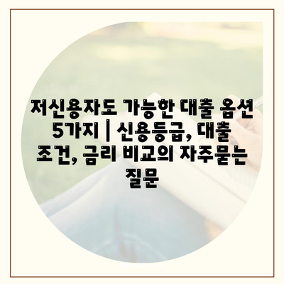 저신용자도 가능한 대출 옵션 5가지 | 신용등급, 대출 조건, 금리 비교