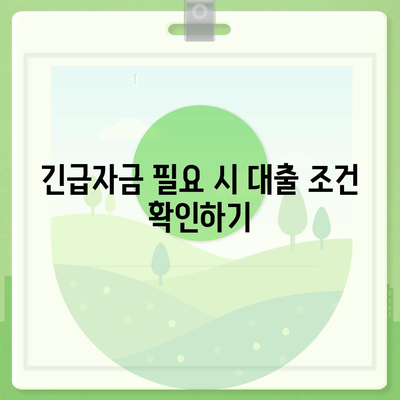 제2금융권 비상금대출 활용법| 빠르고 안전하게 돈을 버는 팁 | 대출, 금융, 긴급자금