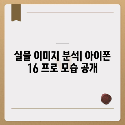 아이폰 16 프로 디자인 출시일 실물 이미지