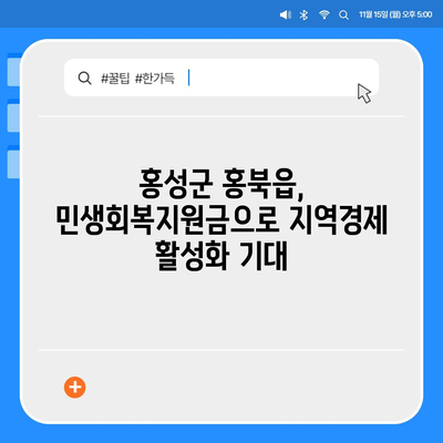 충청남도 홍성군 홍북읍 민생회복지원금 | 신청 | 신청방법 | 대상 | 지급일 | 사용처 | 전국민 | 이재명 | 2024