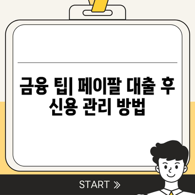 페이팔 대출의 신용 보고서 영향, 알아보는 방법과 팁