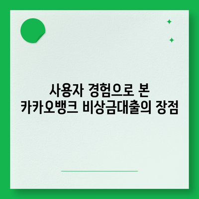 카카오뱅크 비상금대출 후기| 이용 방법과 유용성 분석 | 금융, 대출 상품, 사용자 경험"