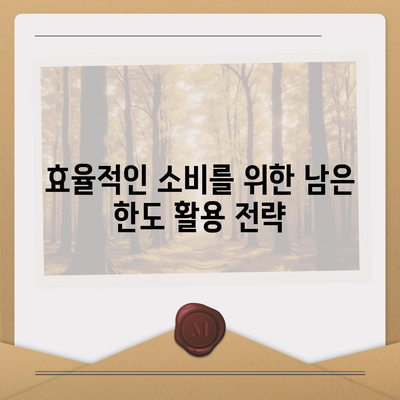 신용카드 남은 한도 활용법| 한도를 최대한 효율적으로 사용하는 팁! | 신용카드, 한도 관리, 재정 관리