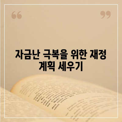 자금난 지원 비상금 대출 후기 | 대출 이용 팁, 자금 관리, 금융 지원 방법