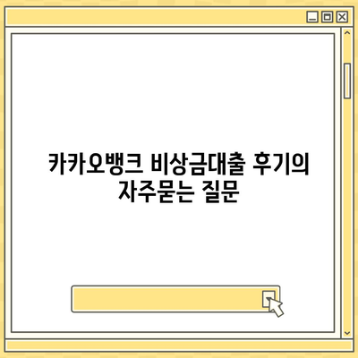 카카오뱅크 비상금대출 후기