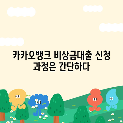 카카오뱅크 비상금대출 후기