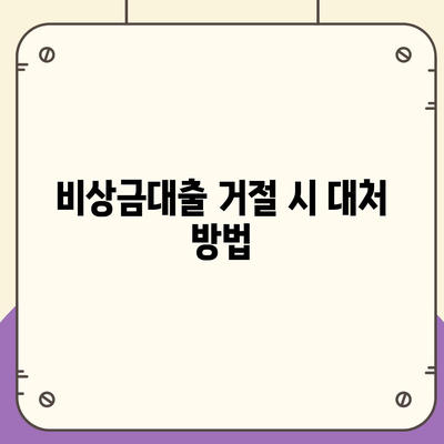 카카오뱅크 pc버전 비상금대출 pc버전 거절