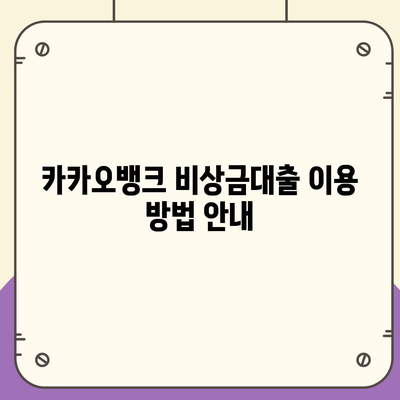 카카오뱅크 비상금대출 방법