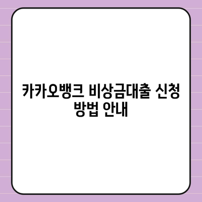 카카오뱅크 비상금대출