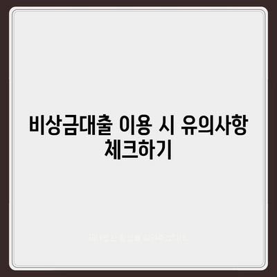 카카오뱅크 비상금대출