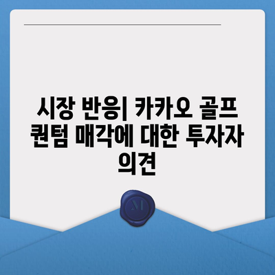 카카오 골프 퀀텀의 매각 이슈와 대응 방안