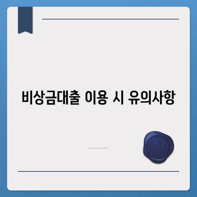 카카오뱅크 비상금대출 후기