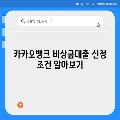 카카오뱅크 pc버전 비상금대출 pc버전 거절