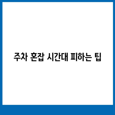 판교 현대백화점 주차난 해결책 | 카카오맵, 카카오T 활용