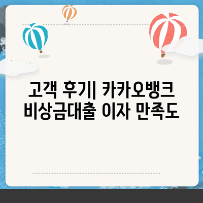 카카오뱅크 pc버전 비상금대출이자