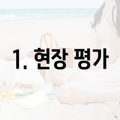 1. 현장 평가