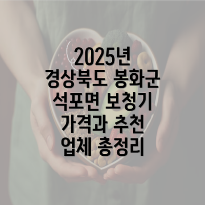 2025년 경상북도 봉화군 석포면 보청기 가격과 추천 업체 총정리