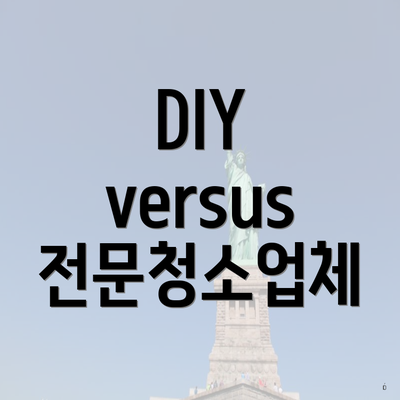 DIY versus 전문청소업체