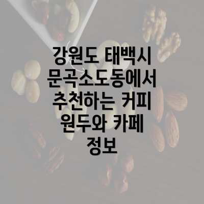 강원도 태백시 문곡소도동에서 추천하는 커피 원두와 카페 정보