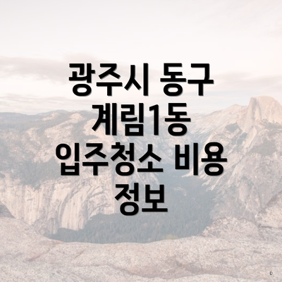 광주시 동구 계림1동 입주청소 비용 정보