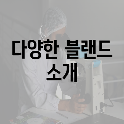 다양한 블랜드 소개