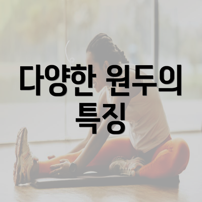 다양한 원두의 특징