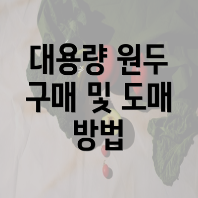 대용량 원두 구매 및 도매 방법