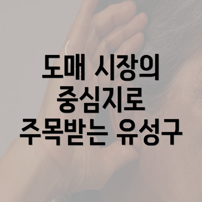 도매 시장의 중심지로 주목받는 유성구