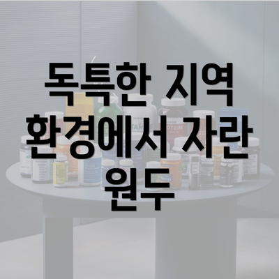 독특한 지역 환경에서 자란 원두