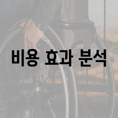 비용 효과 분석