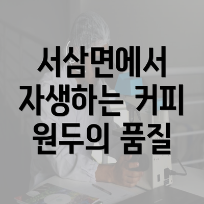 서삼면에서 자생하는 커피 원두의 품질