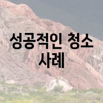 성공적인 청소 사례