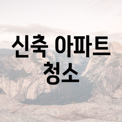 신축 아파트 청소