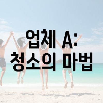 업체 A: 청소의 마법