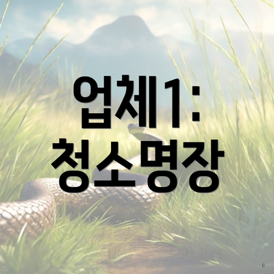 업체1: 청소명장